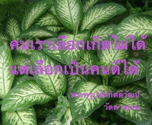 10394074_598907096903303_1048521749981943045_n