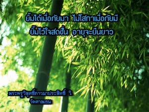 10924697_641201552673857_9164624843384730904_n