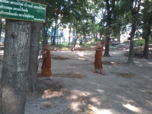 11041812_676502235810455_9038158830584819714_n