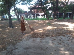 11062116_676502232477122_249326108943007600_n