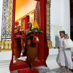 11292813_376863489172849_1634188950_n