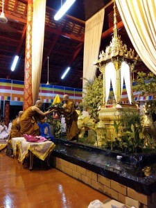 11304159_376863549172843_2128958503_n