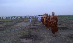 11667274_1625810177662812_316227308984683942_n