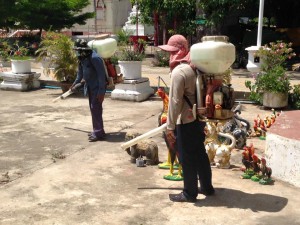 11705087_720203398107005_644427139246980897_n