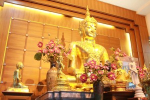 11817120_727400034054008_2595966353837819516_n