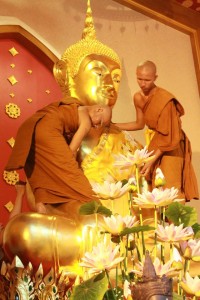 11834743_727403114053700_7386784909612134850_o