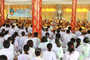 16495_737738779686800_1872459129444747226_n